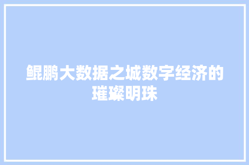 鲲鹏大数据之城数字经济的璀璨明珠