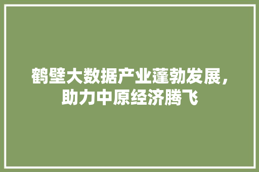 鹤壁大数据产业蓬勃发展，助力中原经济腾飞 友链在线