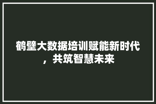 鹤壁大数据培训赋能新时代，共筑智慧未来 SEO教程
