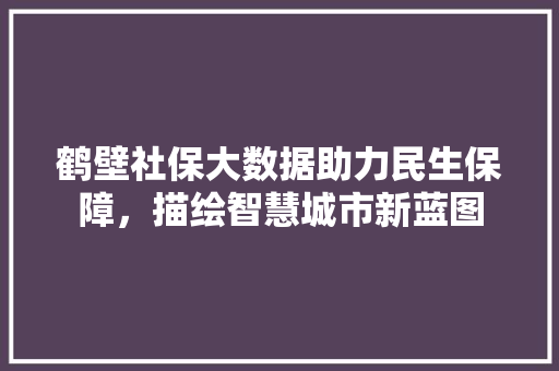 鹤壁社保大数据助力民生保障，描绘智慧城市新蓝图