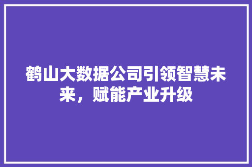 鹤山大数据公司引领智慧未来，赋能产业升级 WordPress教程