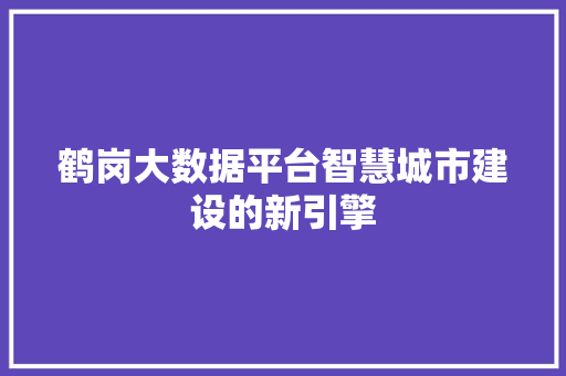 鹤岗大数据平台智慧城市建设的新引擎