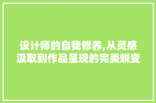 设计师的自我修养,从灵感汲取到作品呈现的完美蜕变