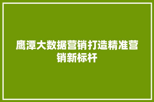 鹰潭大数据营销打造精准营销新标杆 WordPress教程