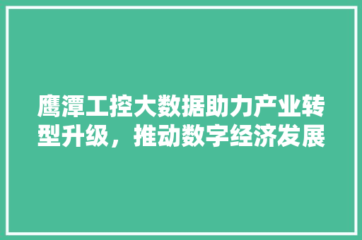 鹰潭工控大数据助力产业转型升级，推动数字经济发展 WordPress教程