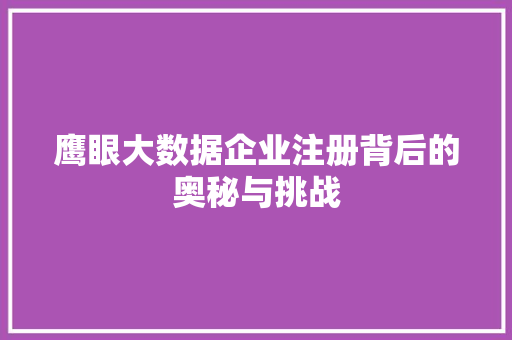 鹰眼大数据企业注册背后的奥秘与挑战