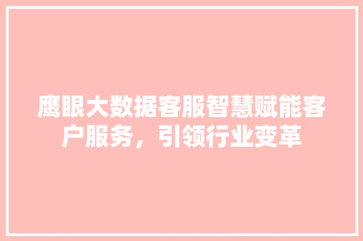 鹰眼大数据客服智慧赋能客户服务，引领行业变革