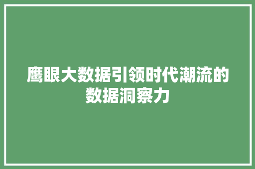 鹰眼大数据引领时代潮流的数据洞察力 友链在线