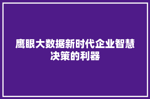鹰眼大数据新时代企业智慧决策的利器 友链在线