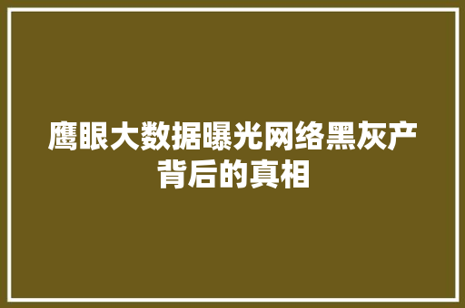 鹰眼大数据曝光网络黑灰产背后的真相 友链在线