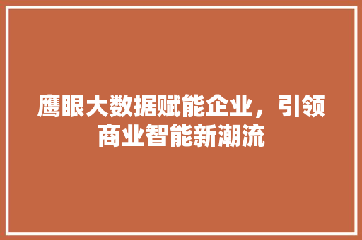 鹰眼大数据赋能企业，引领商业智能新潮流 Web前端