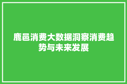 鹿邑消费大数据洞察消费趋势与未来发展