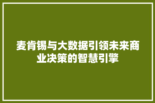 麦肯锡与大数据引领未来商业决策的智慧引擎 WordPress教程