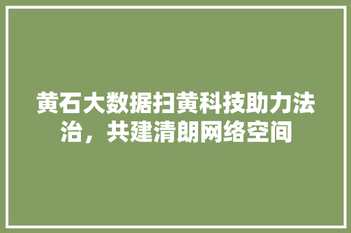黄石大数据扫黄科技助力法治，共建清朗网络空间