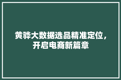 黄骅大数据选品精准定位，开启电商新篇章