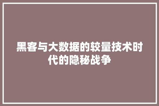 黑客与大数据的较量技术时代的隐秘战争 SEO教程