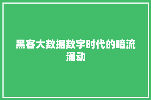 黑客大数据数字时代的暗流涌动