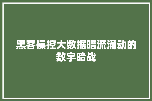 黑客操控大数据暗流涌动的数字暗战