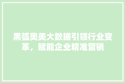 黑弧奥美大数据引领行业变革，赋能企业精准营销
