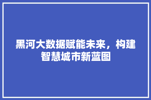 黑河大数据赋能未来，构建智慧城市新蓝图