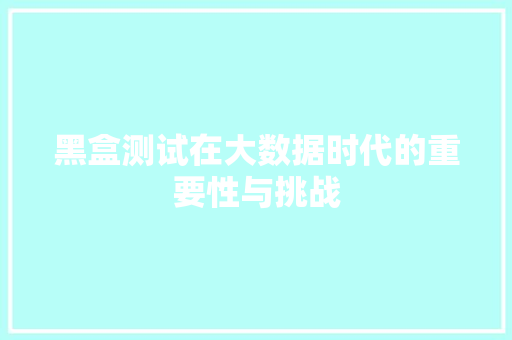 黑盒测试在大数据时代的重要性与挑战