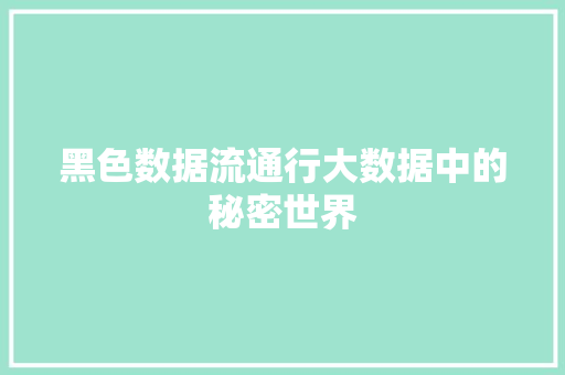 黑色数据流通行大数据中的秘密世界 建站教程