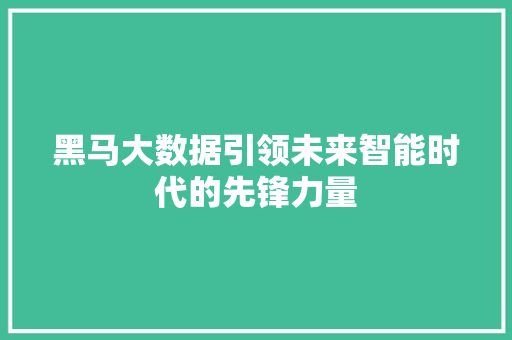 黑马大数据引领未来智能时代的先锋力量