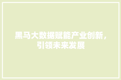 黑马大数据赋能产业创新，引领未来发展