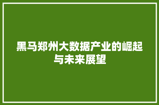 黑马郑州大数据产业的崛起与未来展望