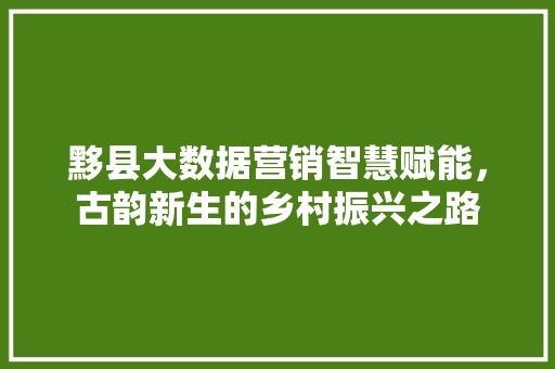 黟县大数据营销智慧赋能，古韵新生的乡村振兴之路