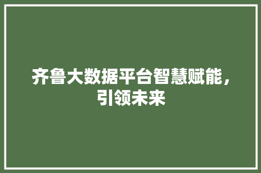 齐鲁大数据平台智慧赋能，引领未来 Web前端