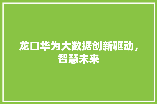 龙口华为大数据创新驱动，智慧未来 SEO教程