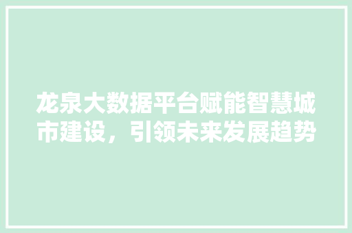龙泉大数据平台赋能智慧城市建设，引领未来发展趋势