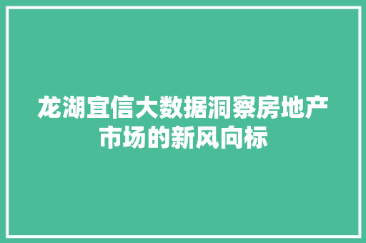 龙湖宜信大数据洞察房地产市场的新风向标