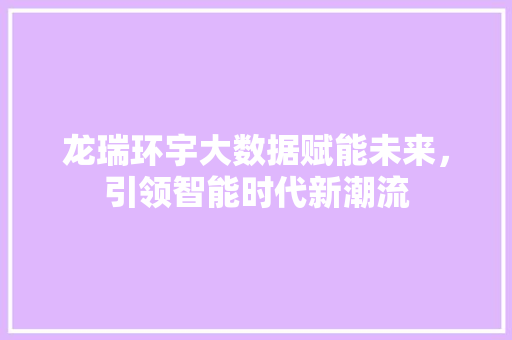 龙瑞环宇大数据赋能未来，引领智能时代新潮流 服务器/数据库