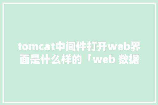 tomcat中间件打开web界面是什么样的「web 数据库」