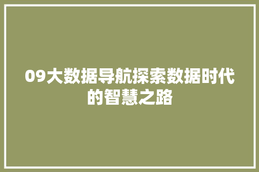 09大数据导航探索数据时代的智慧之路