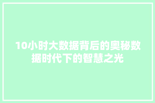 10小时大数据背后的奥秘数据时代下的智慧之光