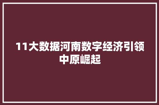 11大数据河南数字经济引领中原崛起