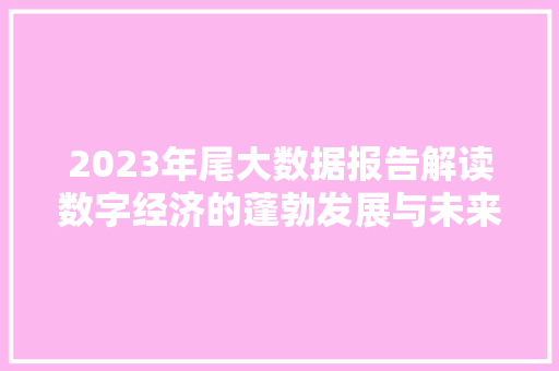 2023年尾大数据报告解读数字经济的蓬勃发展与未来展望