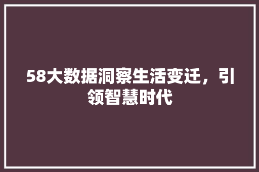 58大数据洞察生活变迁，引领智慧时代