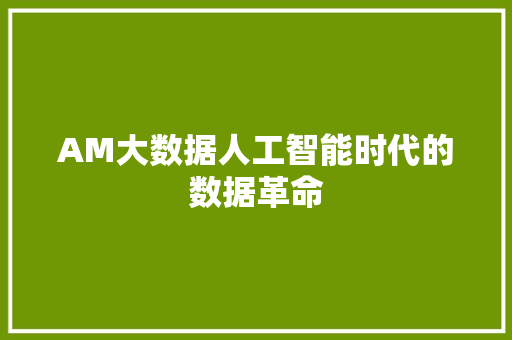 AM大数据人工智能时代的数据革命