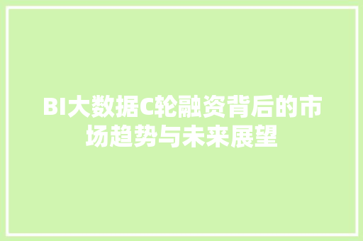 BI大数据C轮融资背后的市场趋势与未来展望