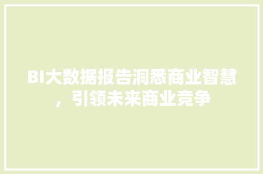 BI大数据报告洞悉商业智慧，引领未来商业竞争
