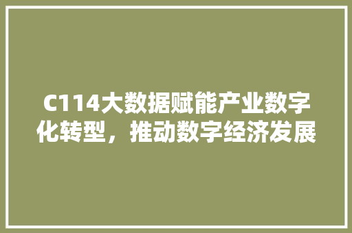 C114大数据赋能产业数字化转型，推动数字经济发展新篇章