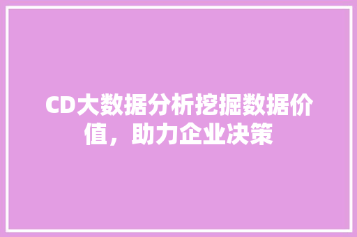 CD大数据分析挖掘数据价值，助力企业决策