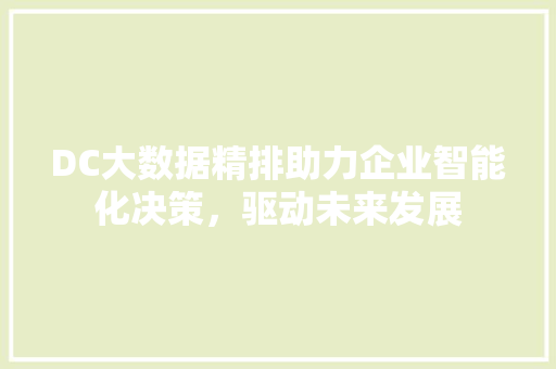 DC大数据精排助力企业智能化决策，驱动未来发展