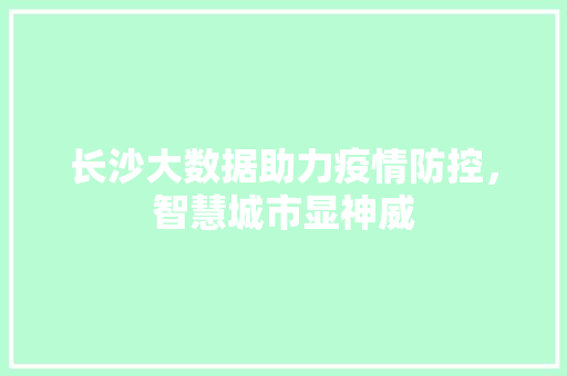 长沙大数据助力疫情防控，智慧城市显神威