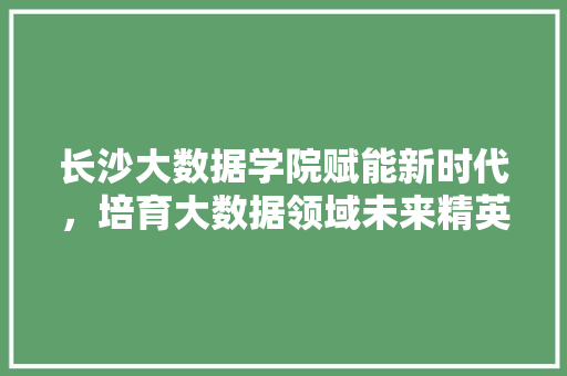 长沙大数据学院赋能新时代，培育大数据领域未来精英