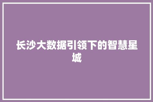 长沙大数据引领下的智慧星城
